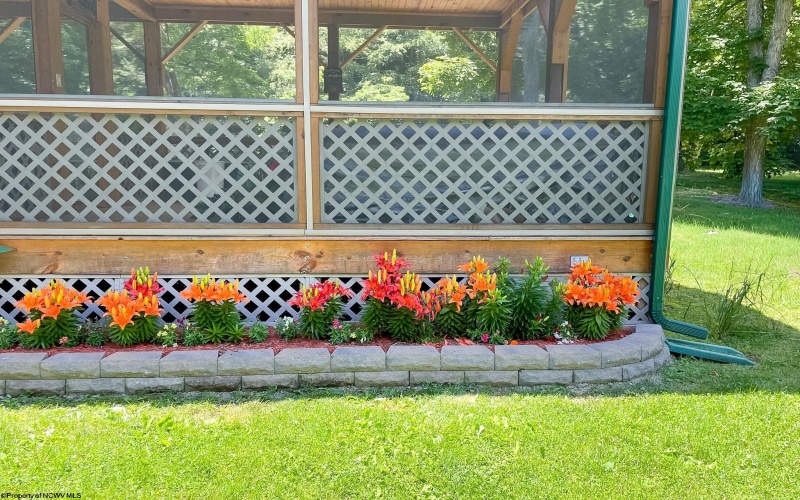 109 Palmer Drive, Bruceton Mills, West Virginia 26525, ,Lots/land,For Sale,Palmer,10163759