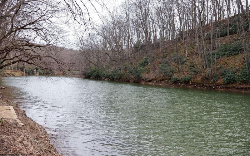 109 Palmer Drive, Bruceton Mills, West Virginia 26525, ,Lots/land,For Sale,Palmer,10163759