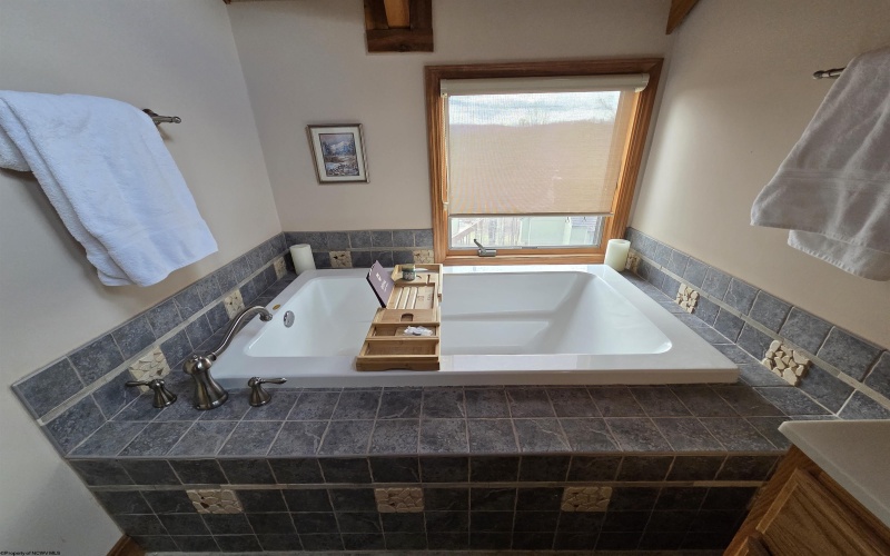 111 Treetop Lane, Davis, West Virginia 26260, 3 Bedrooms Bedrooms, 6 Rooms Rooms,3 BathroomsBathrooms,Single Family Detached,For Sale,Treetop,10163758