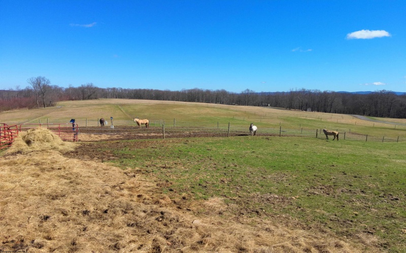 301 Dinkenberger Road, Kingwood, West Virginia 26537, 4 Bedrooms Bedrooms, 11 Rooms Rooms,3 BathroomsBathrooms,Single Family Detached,For Sale,Dinkenberger,10163754