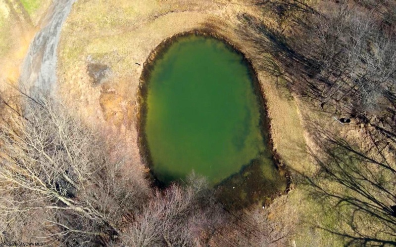 301 Dinkenberger Road, Kingwood, West Virginia 26537, 4 Bedrooms Bedrooms, 11 Rooms Rooms,3 BathroomsBathrooms,Single Family Detached,For Sale,Dinkenberger,10163754