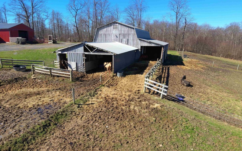 301 Dinkenberger Road, Kingwood, West Virginia 26537, 4 Bedrooms Bedrooms, 11 Rooms Rooms,3 BathroomsBathrooms,Single Family Detached,For Sale,Dinkenberger,10163754