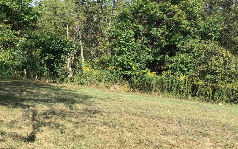 763 Traction Avenue, Monongah, West Virginia 26554, 3 Bedrooms Bedrooms, 8 Rooms Rooms,3 BathroomsBathrooms,Single Family Detached,For Sale,Traction,10163762