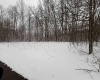 TBD Silver Oak Lane, Belington, West Virginia 26250, ,Lots/land,For Sale,Silver Oak,10163772
