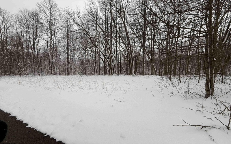 TBD Silver Oak Lane, Belington, West Virginia 26250, ,Lots/land,For Sale,Silver Oak,10163772