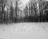TBD Silver Oak Lane, Belington, West Virginia 26250, ,Lots/land,For Sale,Silver Oak,10163772