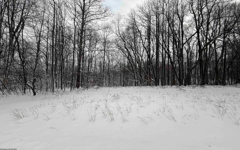 TBD Silver Oak Lane, Belington, West Virginia 26250, ,Lots/land,For Sale,Silver Oak,10163772