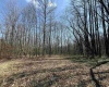 TBD Silver Oak Lane, Belington, West Virginia 26250, ,Lots/land,For Sale,Silver Oak,10163772
