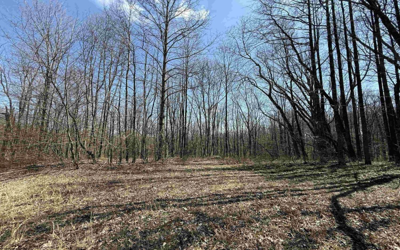 TBD Silver Oak Lane, Belington, West Virginia 26250, ,Lots/land,For Sale,Silver Oak,10163772