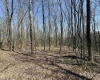 TBD Silver Oak Lane, Belington, West Virginia 26250, ,Lots/land,For Sale,Silver Oak,10163772