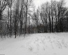 TBD Silver Oak Lane, Belington, West Virginia 26250, ,Lots/land,For Sale,Silver Oak,10163772
