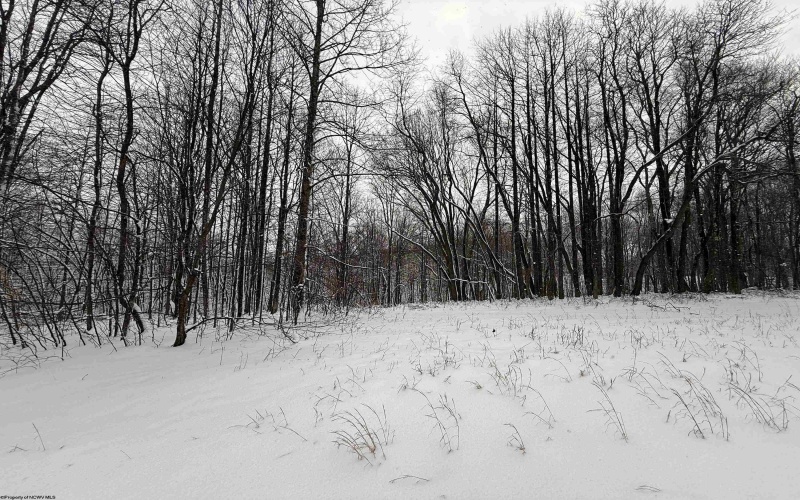TBD Silver Oak Lane, Belington, West Virginia 26250, ,Lots/land,For Sale,Silver Oak,10163772