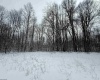 TBD Silver Oak Lane, Belington, West Virginia 26250, ,Lots/land,For Sale,Silver Oak,10163772