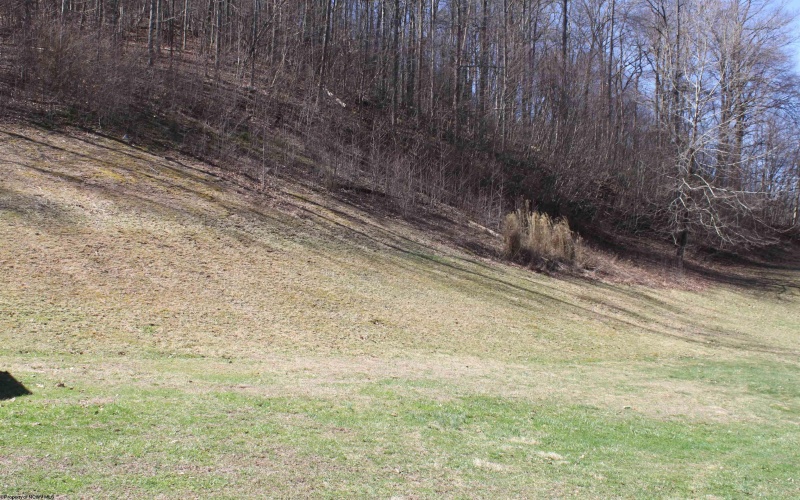 992 Holly River Road, Webster Springs, West Virginia 26288, 5 Bedrooms Bedrooms, 13 Rooms Rooms,2 BathroomsBathrooms,Single Family Detached,For Sale,Holly River,10163770