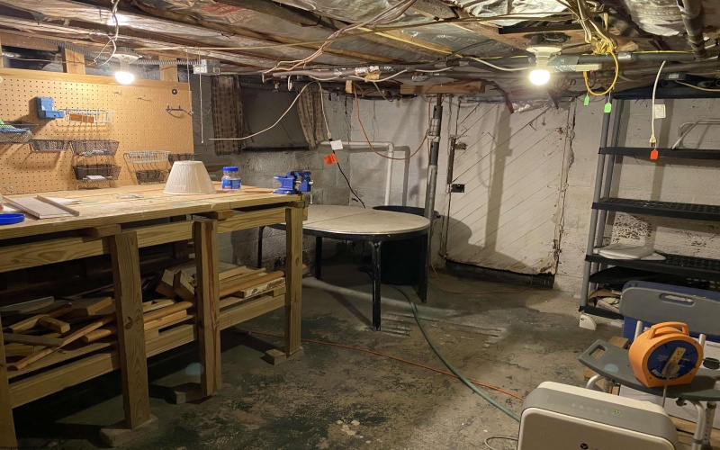 28 Central Avenue, Buckhannon, West Virginia 26201-4033, 5 Bedrooms Bedrooms, 10 Rooms Rooms,2 BathroomsBathrooms,Single Family Detached,For Sale,Central,10163778