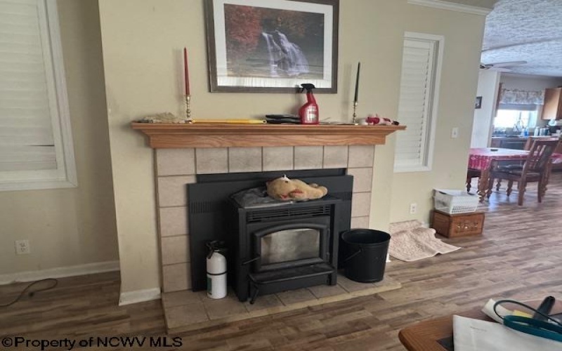 312 Galilee Road, Bruceton Mills, West Virginia 26525, 4 Bedrooms Bedrooms, 10 Rooms Rooms,3 BathroomsBathrooms,Single Family Detached,For Sale,Galilee,10163784