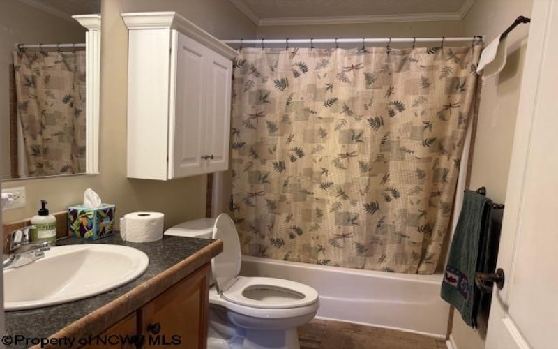 312 Galilee Road, Bruceton Mills, West Virginia 26525, 4 Bedrooms Bedrooms, 10 Rooms Rooms,3 BathroomsBathrooms,Single Family Detached,For Sale,Galilee,10163784