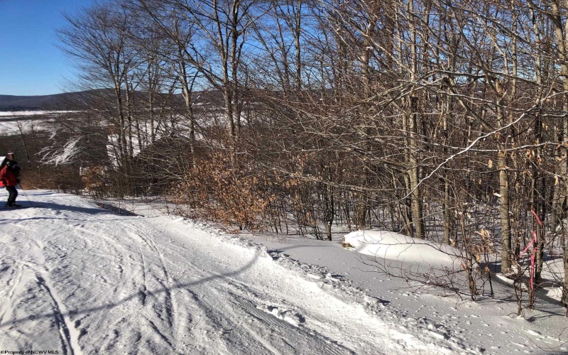45 Winterset Drive, Davis, West Virginia 26260, ,Lots/land,For Sale,Winterset,10163785