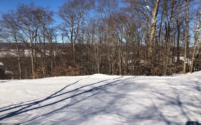 45 Winterset Drive, Davis, West Virginia 26260, ,Lots/land,For Sale,Winterset,10163785