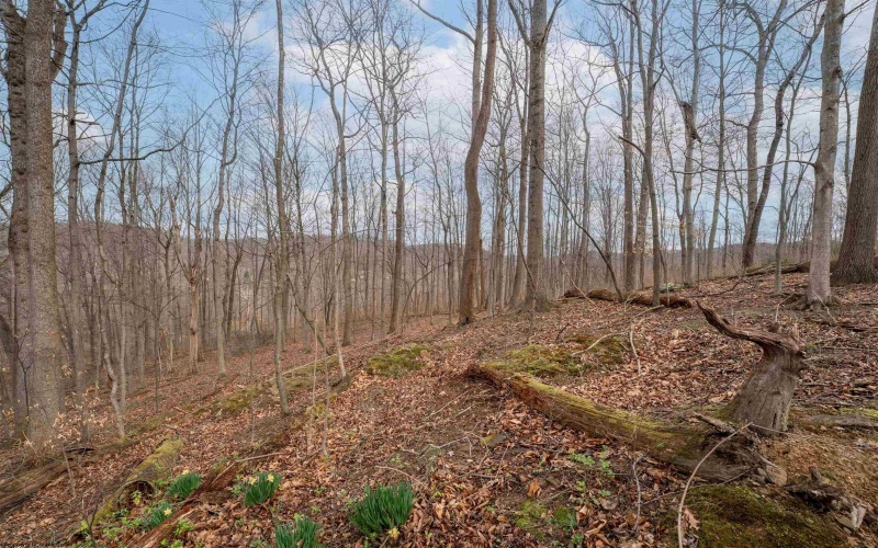 237 Poplar Drive, Morgantown, West Virginia 26505, 4 Bedrooms Bedrooms, 10 Rooms Rooms,3 BathroomsBathrooms,Single Family Detached,For Sale,Poplar,10163799