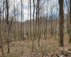 255 Fanghorn Lane, Shinnston, West Virginia 26431, ,Lots/land,For Sale,Fanghorn,10163809