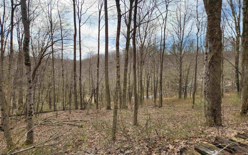 255 Fanghorn Lane, Shinnston, West Virginia 26431, ,Lots/land,For Sale,Fanghorn,10163809