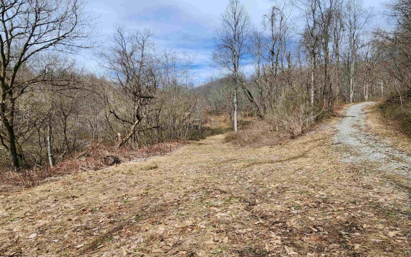 255 Fanghorn Lane, Shinnston, West Virginia 26431, ,Lots/land,For Sale,Fanghorn,10163809