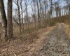 255 Fanghorn Lane, Shinnston, West Virginia 26431, ,Lots/land,For Sale,Fanghorn,10163809