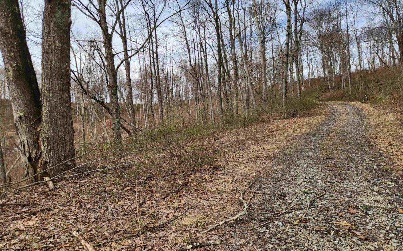 255 Fanghorn Lane, Shinnston, West Virginia 26431, ,Lots/land,For Sale,Fanghorn,10163809