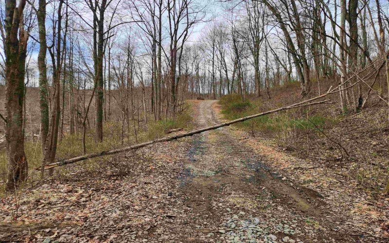 255 Fanghorn Lane, Shinnston, West Virginia 26431, ,Lots/land,For Sale,Fanghorn,10163809