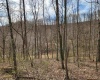 255 Fanghorn Lane, Shinnston, West Virginia 26431, ,Lots/land,For Sale,Fanghorn,10163809