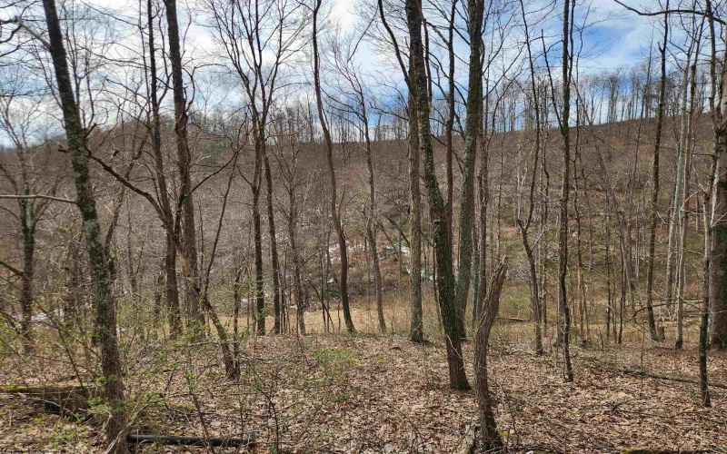 255 Fanghorn Lane, Shinnston, West Virginia 26431, ,Lots/land,For Sale,Fanghorn,10163809