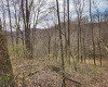 255 Fanghorn Lane, Shinnston, West Virginia 26431, ,Lots/land,For Sale,Fanghorn,10163809
