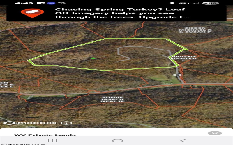 255 Fanghorn Lane, Shinnston, West Virginia 26431, ,Lots/land,For Sale,Fanghorn,10163809