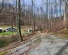 255 Fanghorn Lane, Shinnston, West Virginia 26431, ,Lots/land,For Sale,Fanghorn,10163809