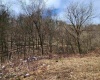255 Fanghorn Lane, Shinnston, West Virginia 26431, ,Lots/land,For Sale,Fanghorn,10163809