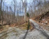 255 Fanghorn Lane, Shinnston, West Virginia 26431, ,Lots/land,For Sale,Fanghorn,10163809