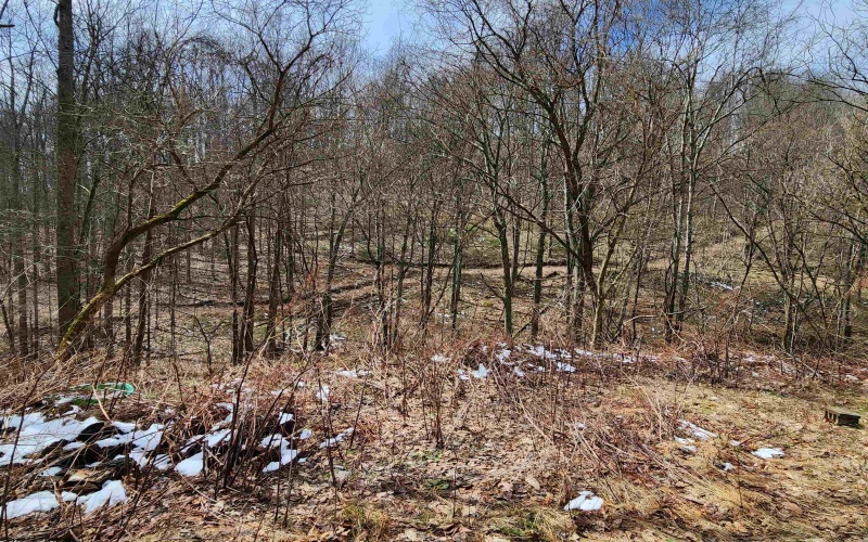 255 Fanghorn Lane, Shinnston, West Virginia 26431, ,Lots/land,For Sale,Fanghorn,10163809