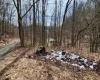 255 Fanghorn Lane, Shinnston, West Virginia 26431, ,Lots/land,For Sale,Fanghorn,10163809