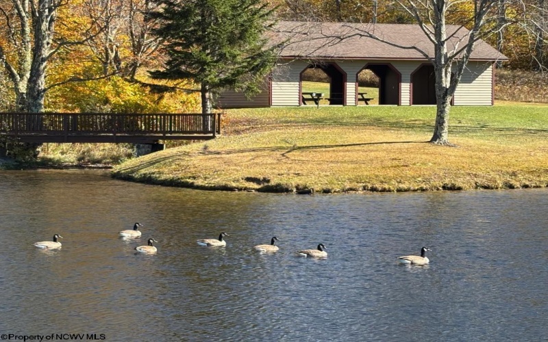 32 Waterfront Drive, Davis, West Virginia 26260, ,Lots/land,For Sale,Waterfront,10163815