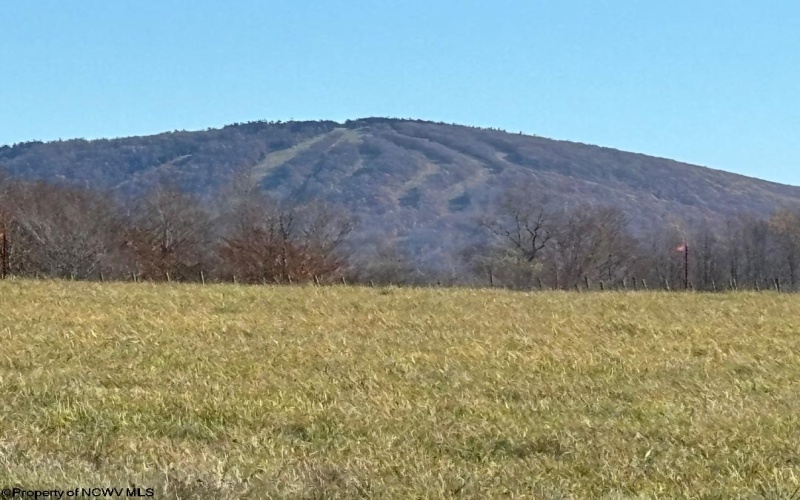 32 Waterfront Drive, Davis, West Virginia 26260, ,Lots/land,For Sale,Waterfront,10163815