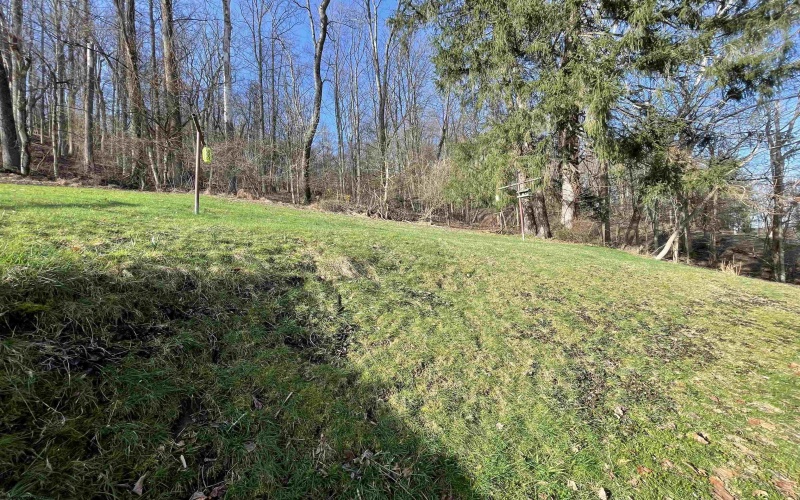 232 Wilson Street, Weston, West Virginia 26452, 3 Bedrooms Bedrooms, 6 Rooms Rooms,1 BathroomBathrooms,Single Family Detached,For Sale,Wilson,10163822