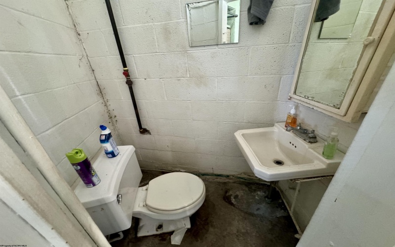 401 Lincoln Avenue, Elkins, West Virginia 26241, ,Multi-unit/income,For Sale,Lincoln,10163828