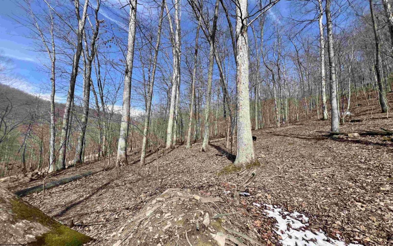 1251 County Highway 40-11 Road, Duck, West Virginia 25063, ,Lots/land,For Sale,County Highway 40-11,10163834 1251 County Highway 40-11 Road, Duck, West Virginia 25063, ,Lots/land,For Sale,County Highway 40-11,10163834