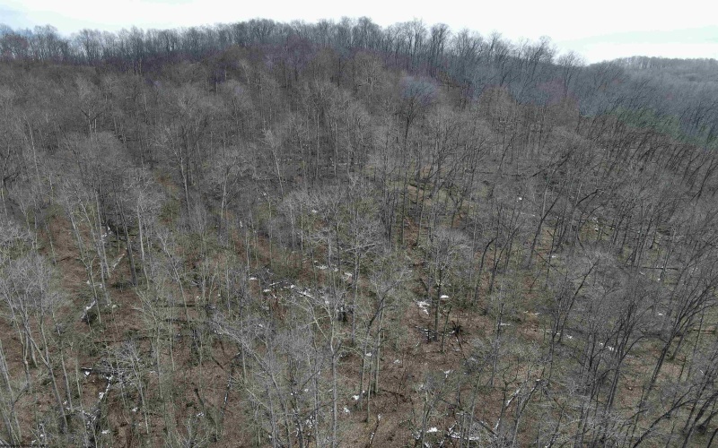 1251 County Highway 40-11 Road, Duck, West Virginia 25063, ,Lots/land,For Sale,County Highway 40-11,10163834 1251 County Highway 40-11 Road, Duck, West Virginia 25063, ,Lots/land,For Sale,County Highway 40-11,10163834