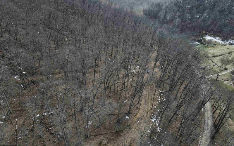 1251 County Highway 40-11 Road, Duck, West Virginia 25063, ,Lots/land,For Sale,County Highway 40-11,10163834 1251 County Highway 40-11 Road, Duck, West Virginia 25063, ,Lots/land,For Sale,County Highway 40-11,10163834