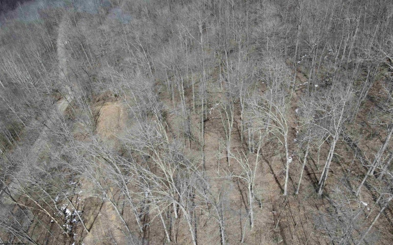 1251 County Highway 40-11 Road, Duck, West Virginia 25063, ,Lots/land,For Sale,County Highway 40-11,10163834 1251 County Highway 40-11 Road, Duck, West Virginia 25063, ,Lots/land,For Sale,County Highway 40-11,10163834