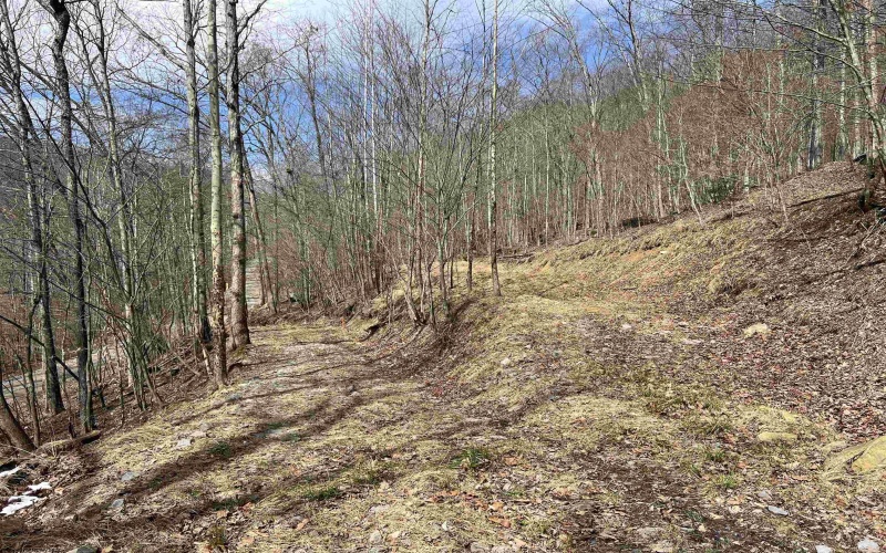 1251 County Highway 40-11 Road, Duck, West Virginia 25063, ,Lots/land,For Sale,County Highway 40-11,10163834 1251 County Highway 40-11 Road, Duck, West Virginia 25063, ,Lots/land,For Sale,County Highway 40-11,10163834