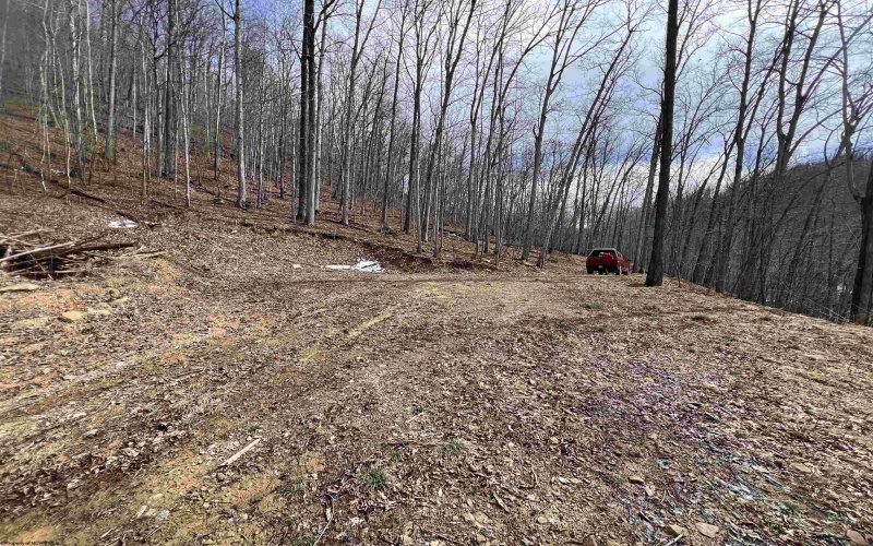 1251 County Highway 40-11 Road, Duck, West Virginia 25063, ,Lots/land,For Sale,County Highway 40-11,10163834 1251 County Highway 40-11 Road, Duck, West Virginia 25063, ,Lots/land,For Sale,County Highway 40-11,10163834