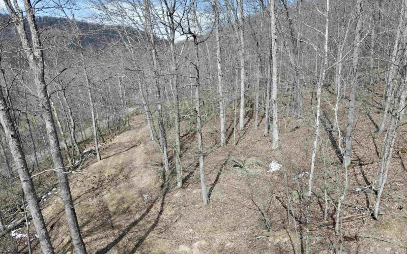 1251 County Highway 40-11 Road, Duck, West Virginia 25063, ,Lots/land,For Sale,County Highway 40-11,10163834 1251 County Highway 40-11 Road, Duck, West Virginia 25063, ,Lots/land,For Sale,County Highway 40-11,10163834